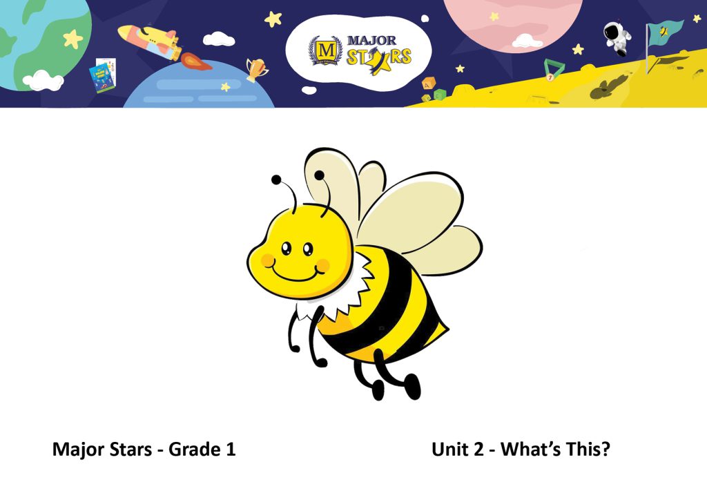 S1 - Flashcards - Unit 2 - bee